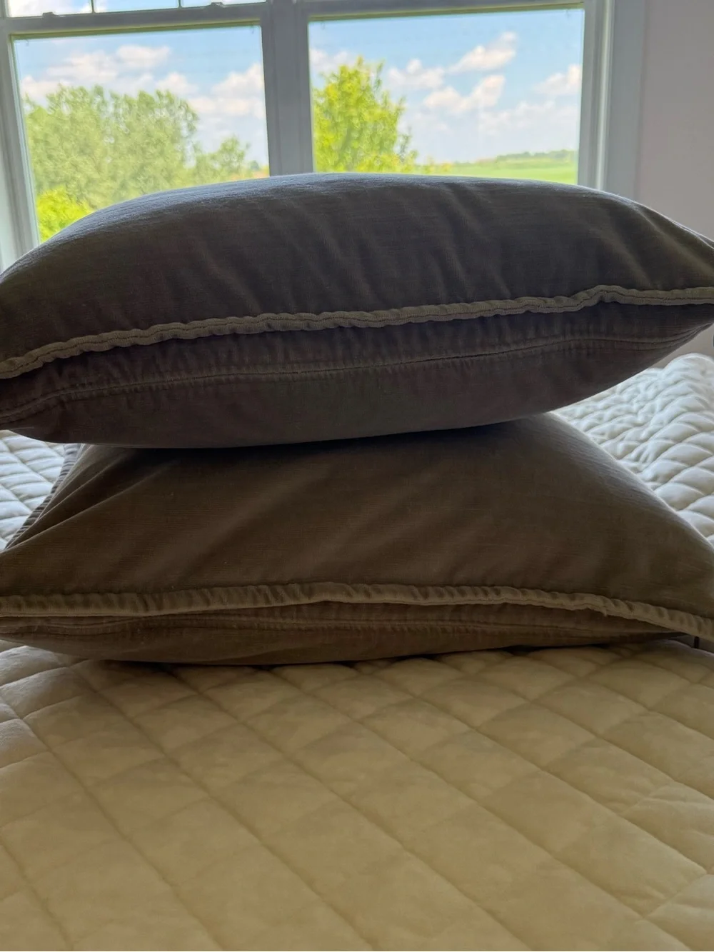 Pottery Barn Everywhere Velvet 20x20 Pillow Cover & Down Insert Set of Two Gray